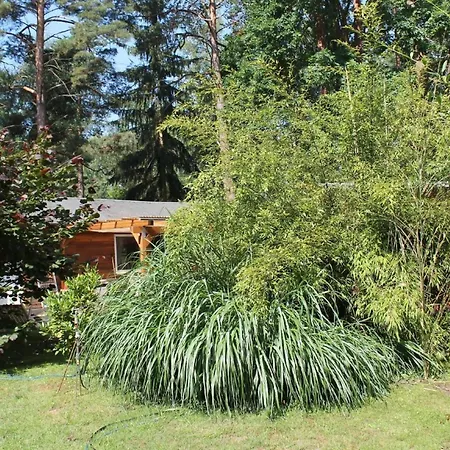 Freistehender Am Schorfheide